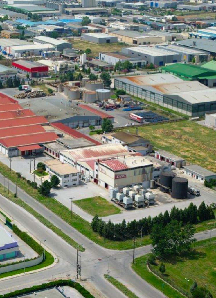 zanae